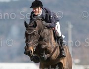 Whitaker W  Fandango TosTour2013- S5 2805 : Arezzo, Arezzo Equestrian Centre, Fandango, Toscana Tour 2013, Whitacker William, foto di Stefano Secchi ©
